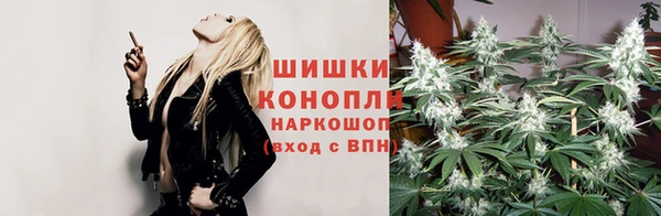 крисы Балабаново