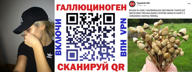 Псилоцибиновые грибы Cubensis  хочу наркоту  Сенгилей 