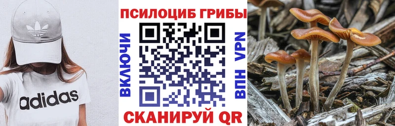 Псилоцибиновые грибы Magic Shrooms Сенгилей